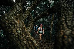 BIB: 
                            <button type="button" onclick="openModal(25679448)" class="btn btn-primary btn-sm float-right btn-popup" data-toggle="modal" data-target=".modal-high-quality">
                        <i class="fas fa-shopping-cart"></i> Add to Cart
                    </button>
                                            <button type="button" onclick="isThisMe(25679448, true)" class="btn btn-success btn-sm float-right btn-popup btn-isme hidden" data-toggle="tooltip" data-placement="bottom" title="นี่คือรูปของคุณใช่ไหม คลิกที่นี่เพื่อเอาเข้าอัลบั้ม">
                        <i class="fas fa-plus"></i> Add to album
                    </button>
                    <button type="button" onclick="isThisMe(25679448, false)" class="btn btn-warning btn-sm float-right btn-popup btn-isnotme hidden">
                        <i class="fas fa-ban"></i> Remove from album
                    </button>